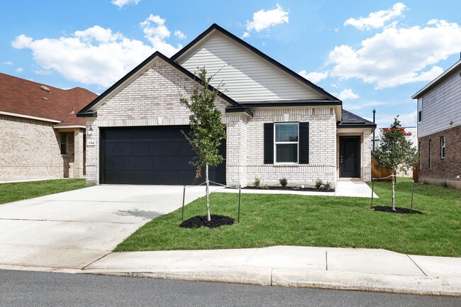 Photo - 614 Eucharis