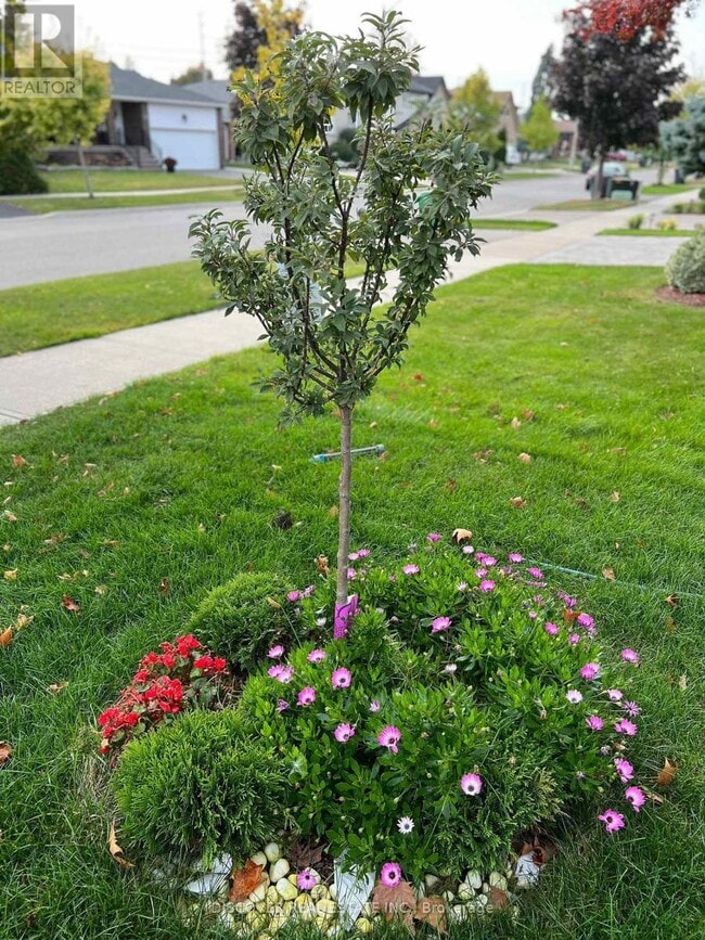 Photo - 525 Cullen Ave