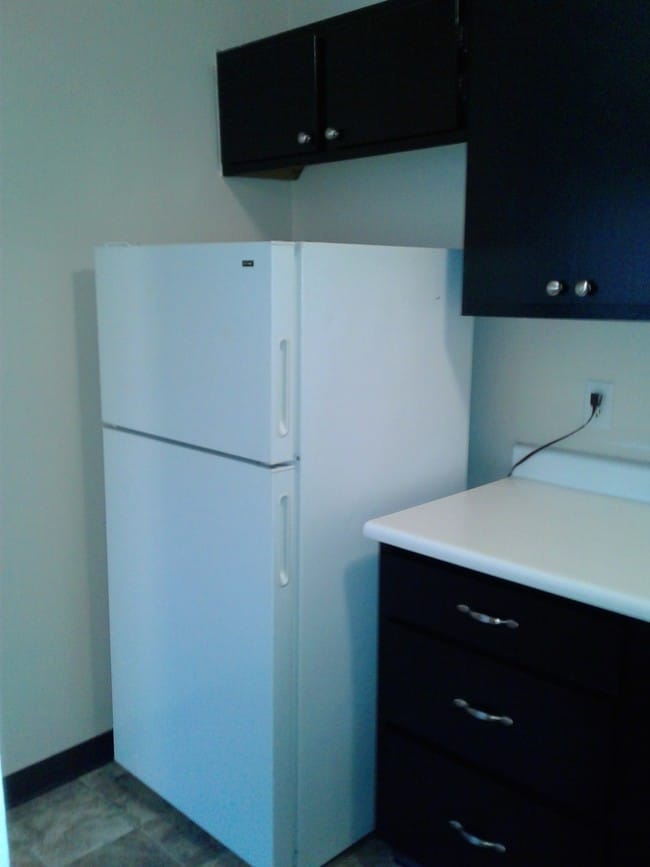 Fridge