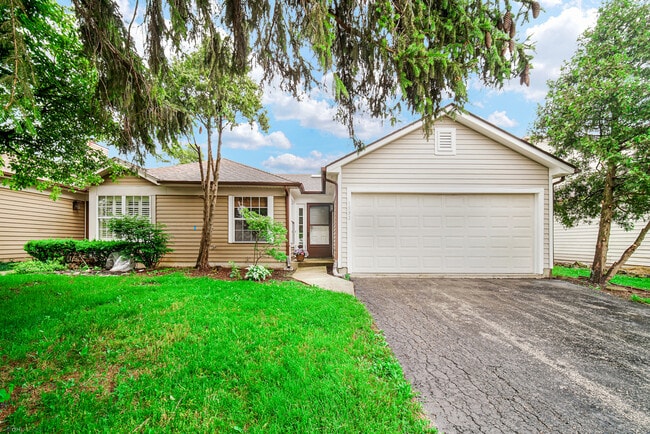 Building Photo - 1893 Appaloosa Dr Rental