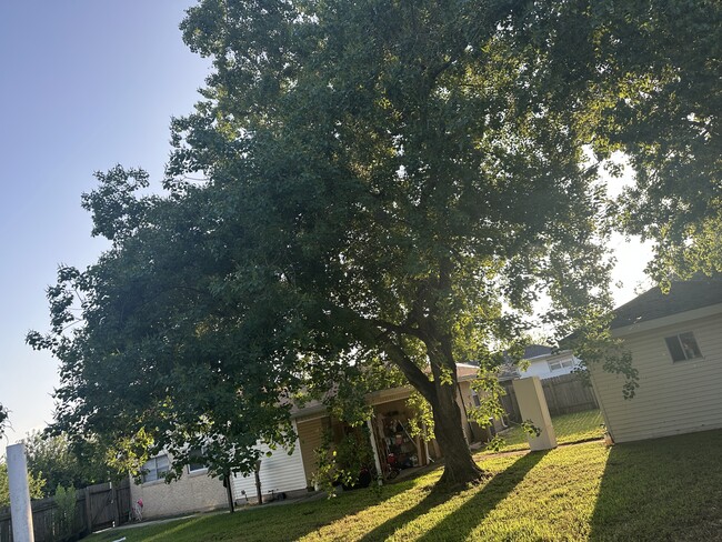 Photo - 209 Cougar Dr Casa