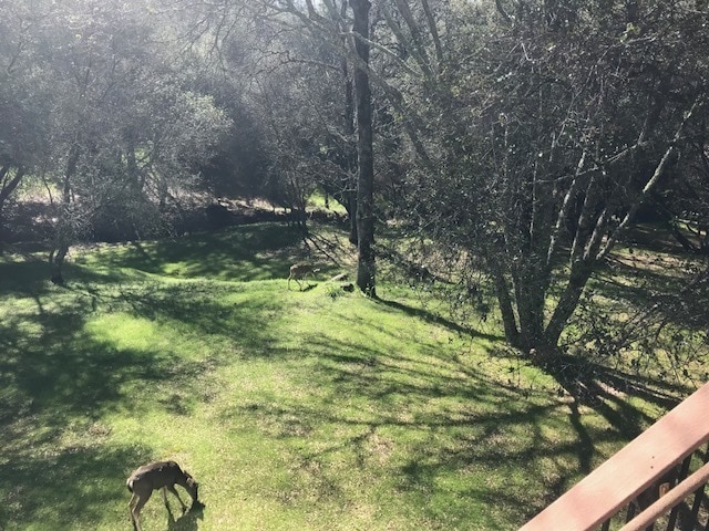 Photo - Beautiful Lake Wildwood Home with private back yard.