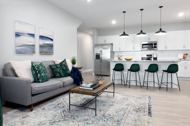 Living Room and Kitchen
