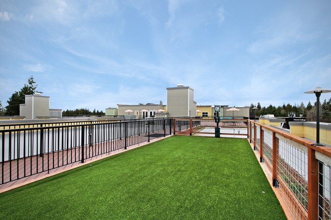 Community Dog Park - Destinations Lynnwood 61+ Active Adult Apa...