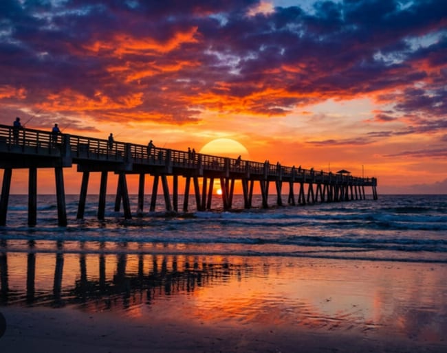 Building Photo - Monclair Neighborhood, Scenic St. John's River, Highly Ranked Schools