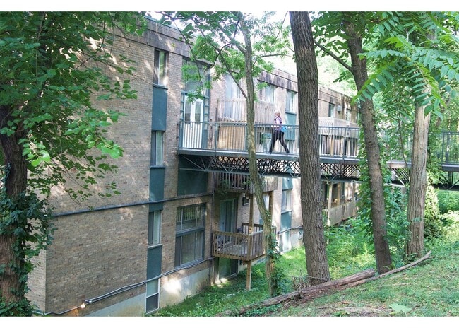 Clifton Woods