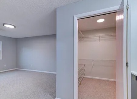 Photo - 504 Greenwich Dr