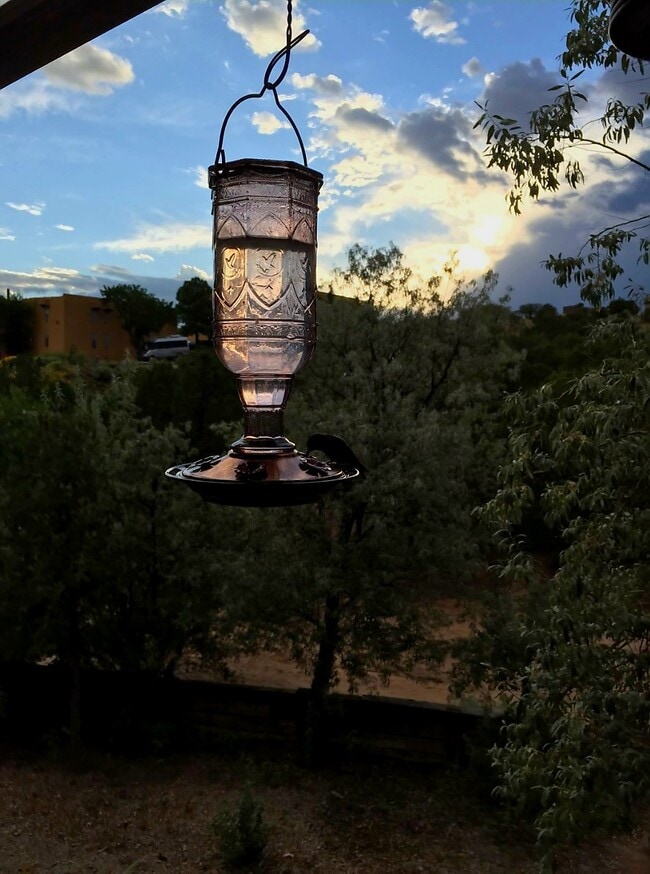 Balcony, Nature Trail, Wildlife - 941 Calle Mejia Unit 212