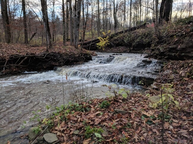 Building Photo - 419 E King Rd