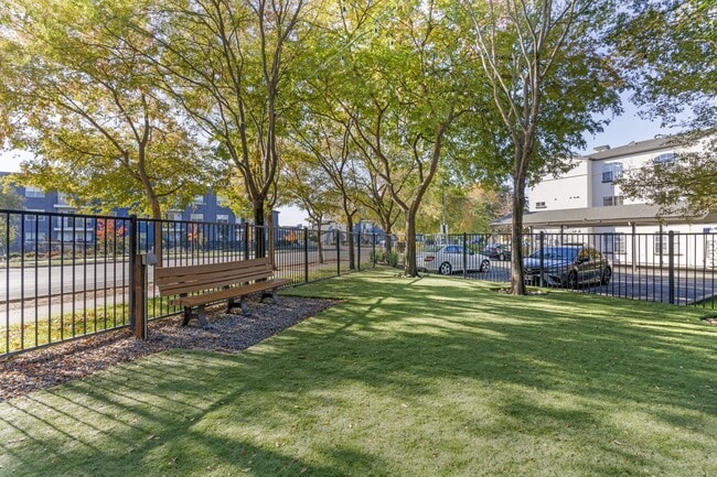 Nuestro parque para perros recientemente renovado ya está abierto, con césped nuevo y mucho espacio para que sus amigos peludos jueguen y socialicen. - Renaissance Apartment Homes