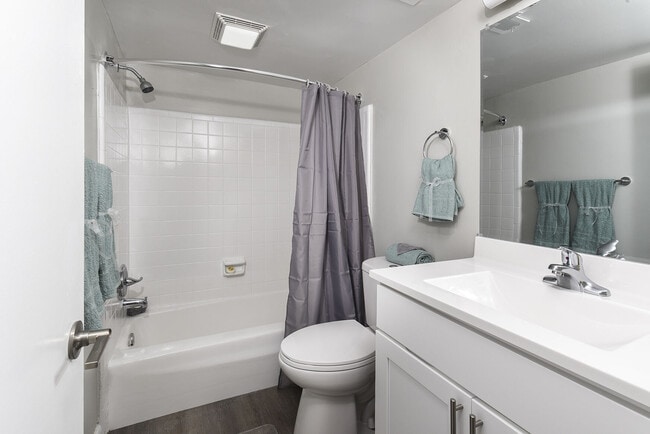 Chesapeake Pointe