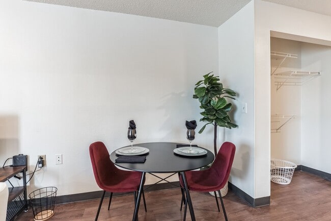 Vivo Living Charlotte University