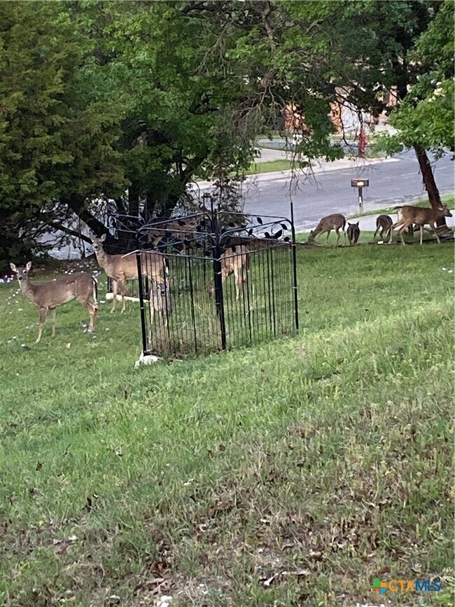 Photo - 1307 Sherry Ln