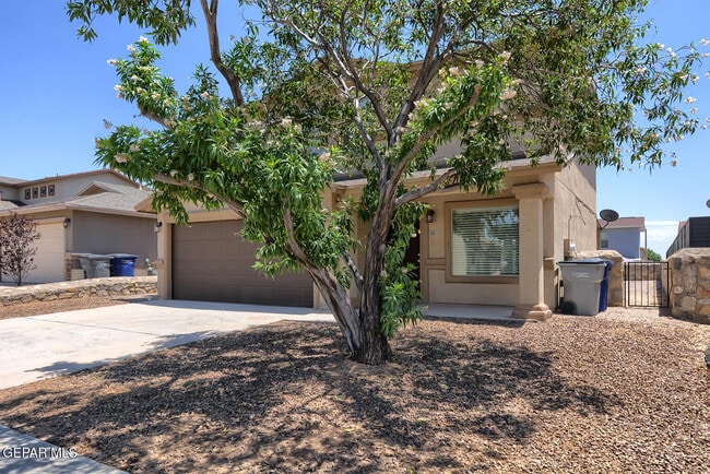 Photo - 14202 Ranier Point Dr