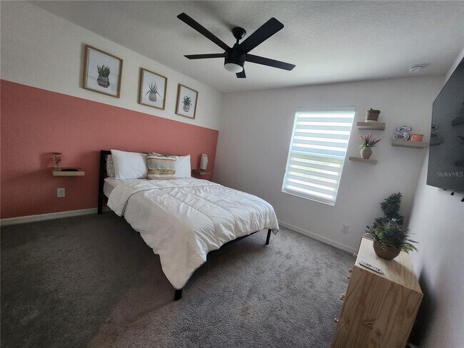 Photo - 4903 Conifer Cone Dr