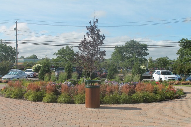 Mayfair Gardens