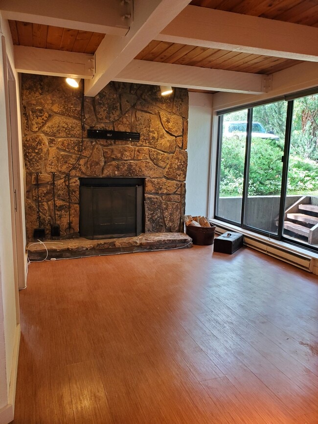 Living Room - 101 E Cooper Ave Unit Aspen Wild Condo