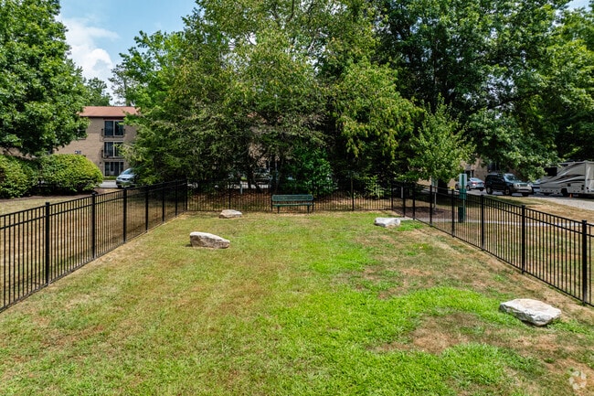 Dog Park