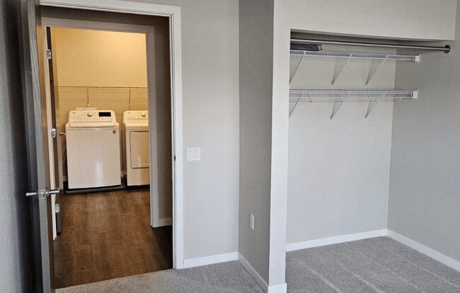 Photo - Cambrian Commons