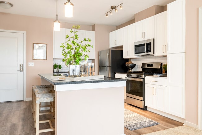 Designer Collection Kitchen