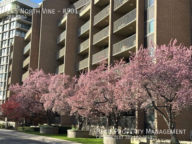 245 North Vine-#901
