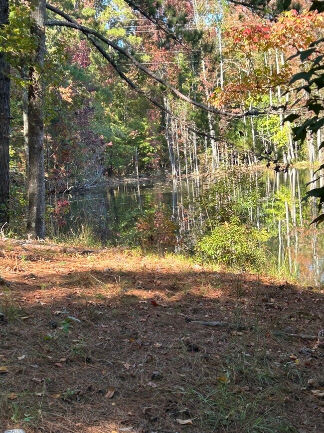 Photo - 358 Skinner Rd