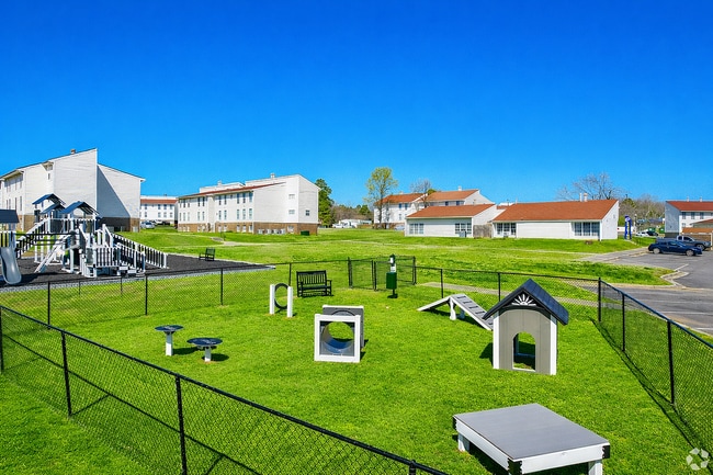 Community park with playground and agility course