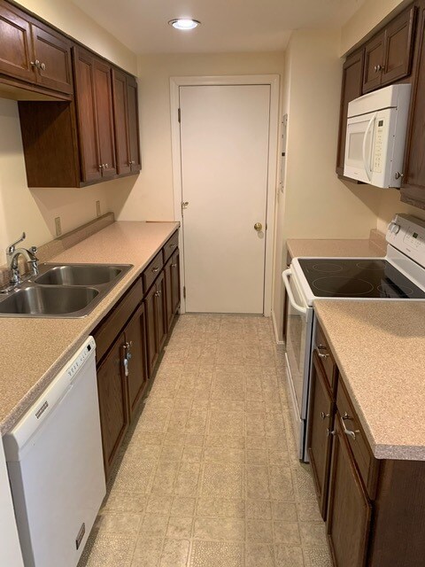 Kitchen - 246 E Bridge St Unit 3