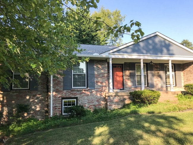 La ventana al sótano deja entrar la luz natural. - 2031 Eversong Ln Unidad 1