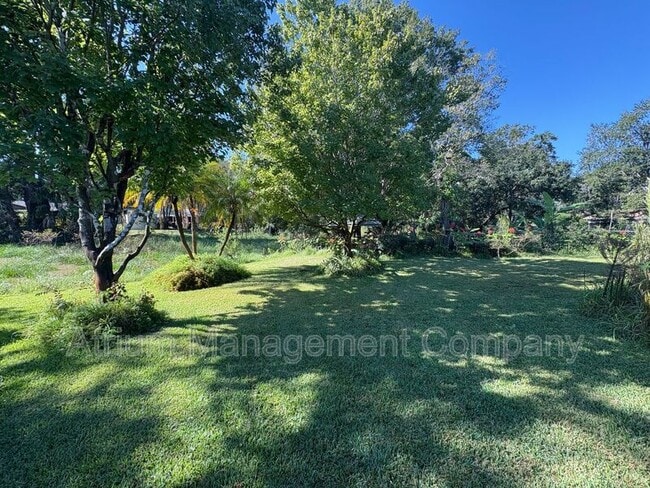 Photo - 299 Drexel Ln