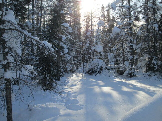 Roam 130+ acres x-ski/ snow shoe
