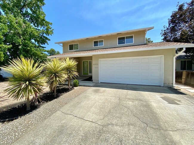 Renovated Four Bedroom North Napa Home - Renovated Four Bedroom North Napa Home