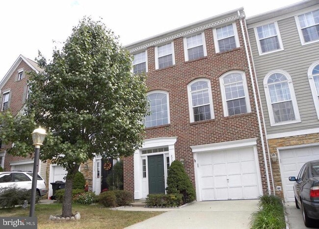 Building Photo - 47333 Blackwater Falls Terrace Rental