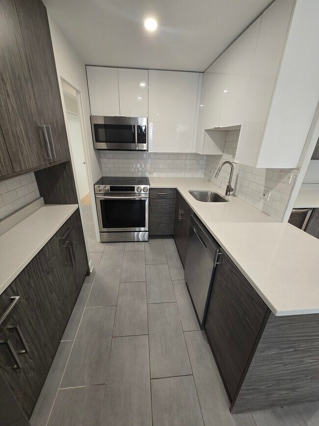 Photo - 227 E Walton Pl Unit 3W