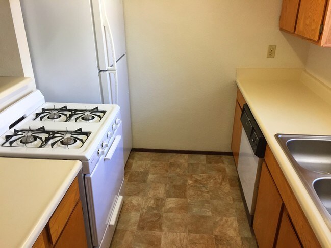 Photo - Olive Courts