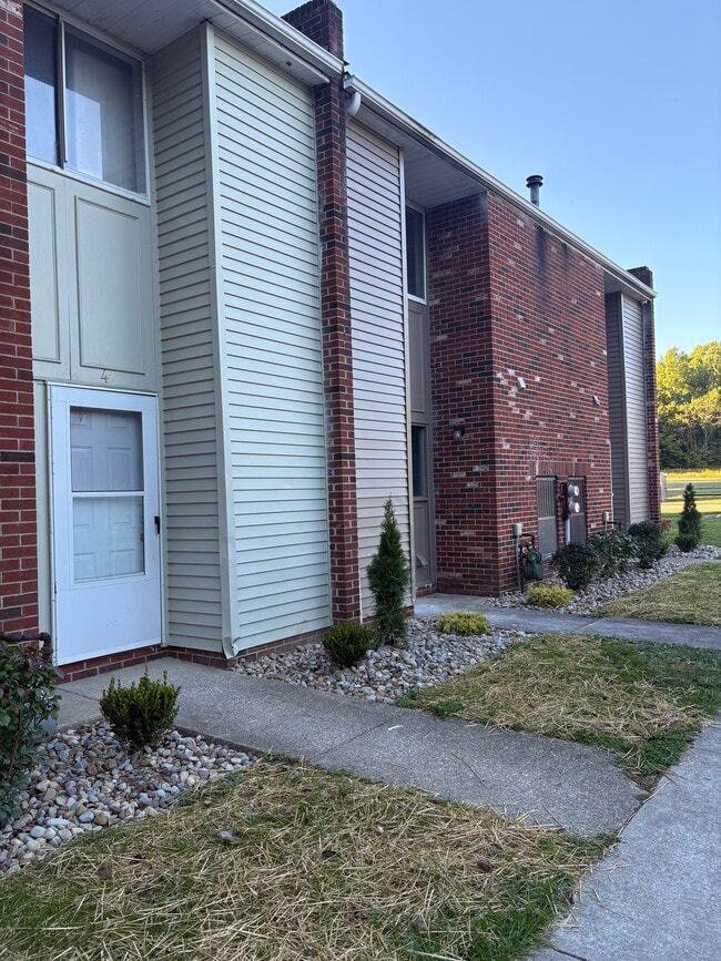 Photo - TERRA - Hiram