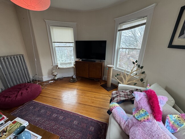 Photo - 51 Ibbetson St Unit 3