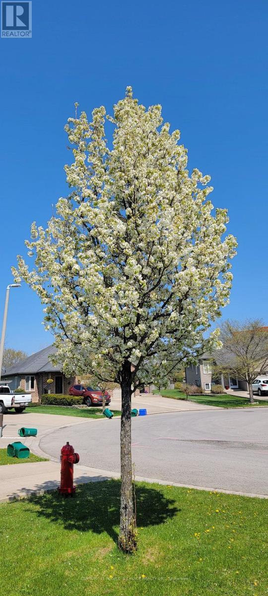 Photo - 45 Nathalie Ct