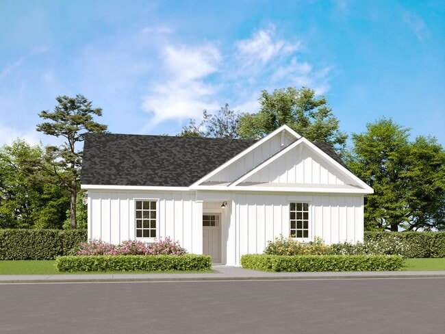 Photo - Anchor Point