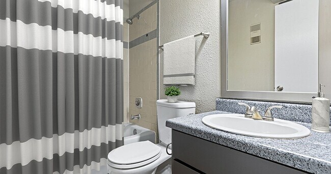 Venue at 8651 Apartments