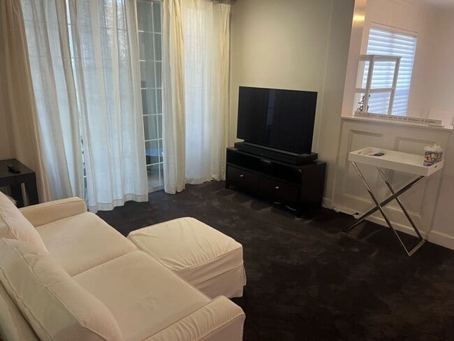 Photo - Available now. Beautiful, FULLY-FURNISHED 1 BR/1 BA Condo in Mt Pleasant!