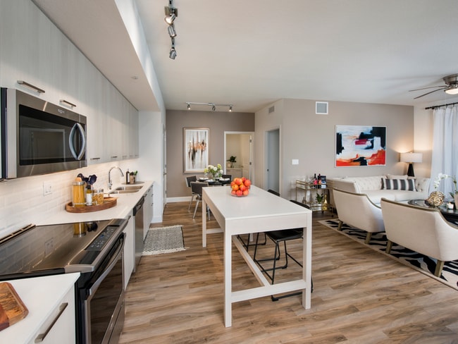 Apartment Kitchen