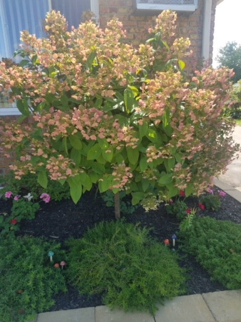 flores del porche delantero - 61035 11 Mile Rd Unidad 2-5