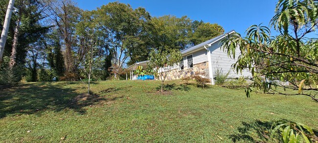 Photo - 217 Wright Rd