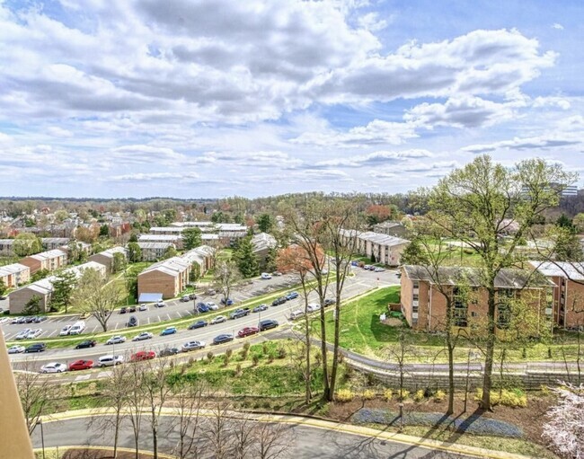 Dolley Madison Apartments - Dolley Madison at Tysons Rental