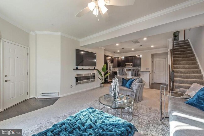 42213 Piebald Square