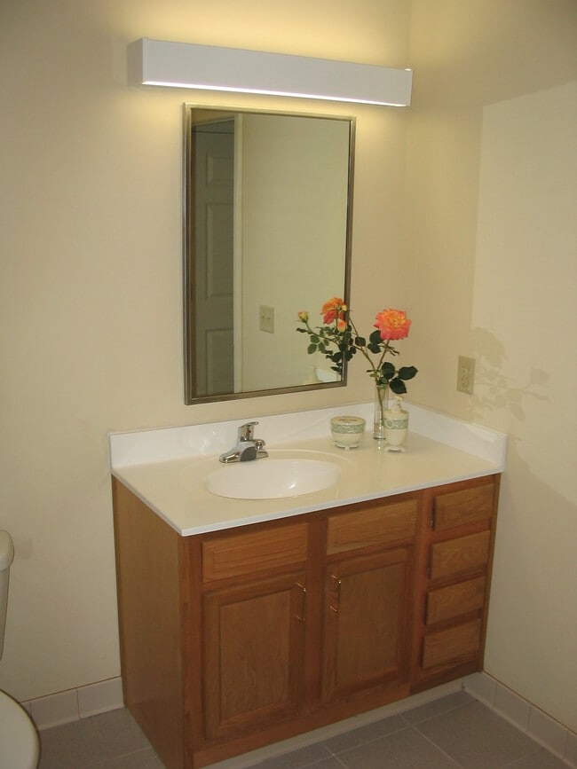Bathroom Vanity