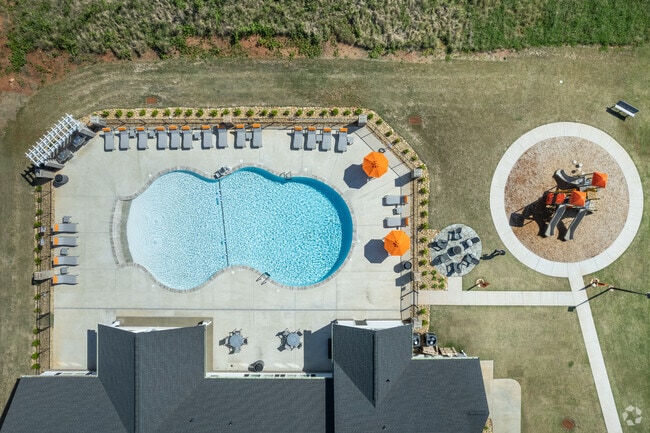 Swimming Pool and Common Area