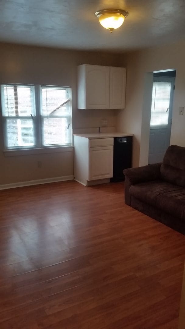 Photo - South Oakland renovated apartment Unit 1