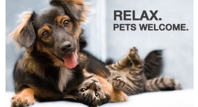 Dogs & Cats Welcome!!!** - The Residences Howard Commons /Howard Lofts